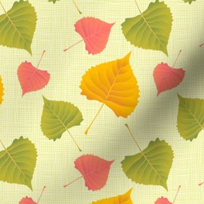 Autumn Poplar Leaves