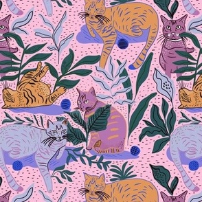 House cat  jungle - cotton candy