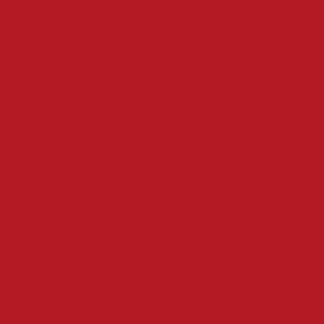 Vivid Red Solid Color Pairs Adrenaline Rush 18-1553 TCX Pantone 2024 Trending Shade