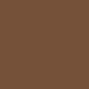 Dark Brown Solid Color Pairs Toffee 18-1031 TCX Pantone 2024 Trending Shade