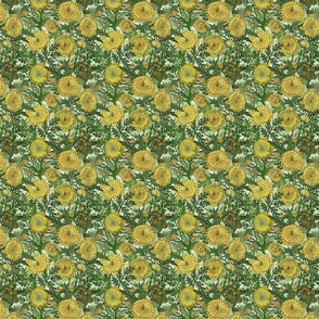 Golden Chrysanthemums (Light Green tiny scale) 