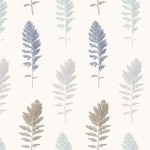 Feathery Ferns, Cream background