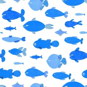 Fish pattern baby blue