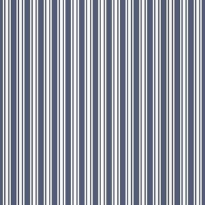 Ticking Stripe_ navy