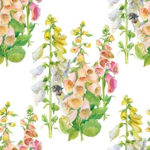 Foxglove Whispers, Cottage Garden, Summer Flowers