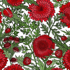 Red Chrysanthemums (White large scale)