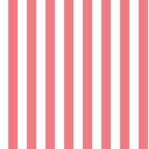 Red and White Stripes