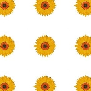 Sundial_Sunflower