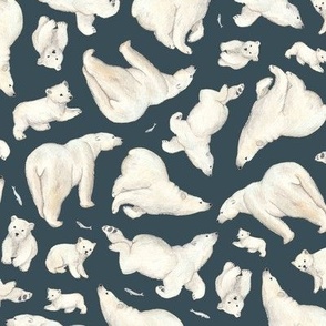 polar bears (night sky)