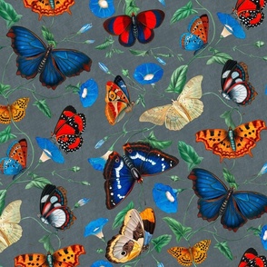 Papillonia - Morning Glory and Butterflies in steel grey