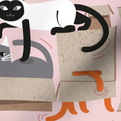 Large jumbo scale // Purfect feline architecture // cotton candy pastel pink background cute cats in cardboard boxes 