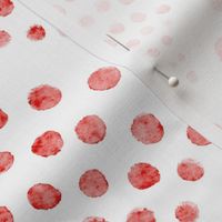 small scale abstract shell dots - coral scallop - coastal coral wallpaper