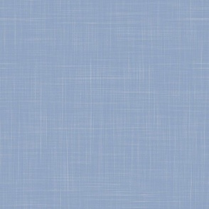 slate blue linen texture intangible pantone 6108