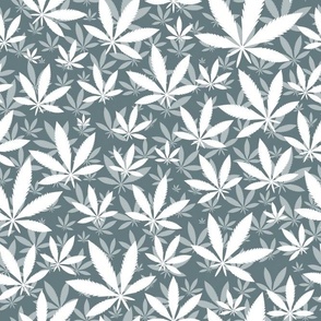 Bigger Scale Marijuana Cannabis Leaves White on Slate Blue Grey