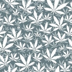 Smaller Scale Marijuana Cannabis Leaves White on Slate Blue Grey