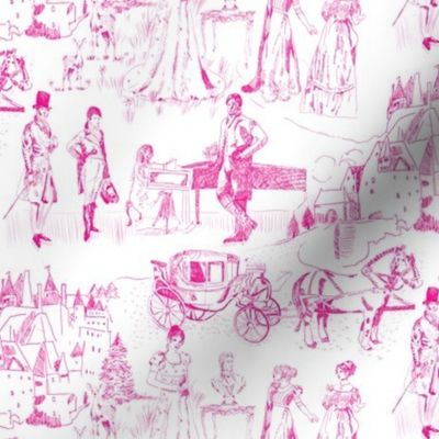 A Visit to Pemberly Toile // Hot Pink