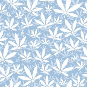 Bigger Scale Marijuana Cannabis Leaves White on Sky Blue