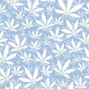 Smaller Scale Marijuana Cannabis Leaves White on Sky Blue