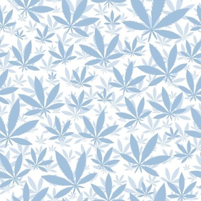 Bigger Scale Marijuana Cannabis Leaves Sky Blue on White