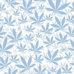 Smaller Scale Marijuana Cannabis Leaves Sky Blue on White