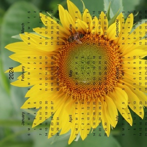 Sunflower Bee Calendar 2024