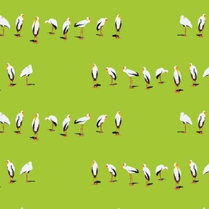 Mustering Storks 2