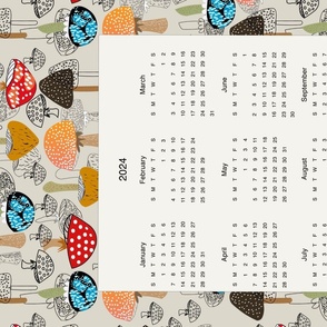 CANDY CALENDAR