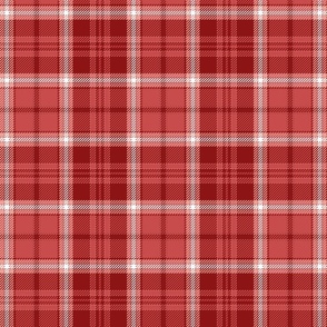Maroon Neutral Winter Holiday Grid Busy Plaid