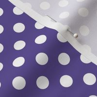 polka dots 2 purple