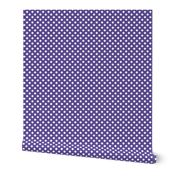 polka dots 2 purple