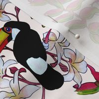 Toucans_in_the_Pink.