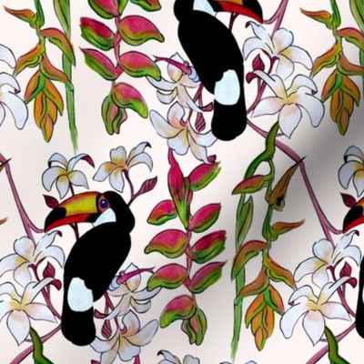 Toucans_in_the_Pink.