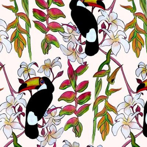 Toucans_in_the_Pink.