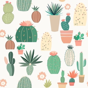 Cactus desert life 