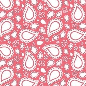 Small Scale Playful Paisley Bandana White on Watermelon