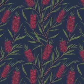 Small Watercolor Australian Red Bottle Brush Flowers with Dulux Ahoy Midnight Blue Background