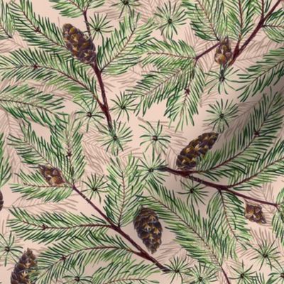 Pine boughs with pinecones on beige