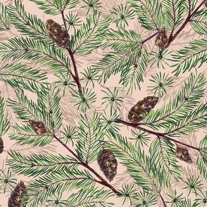 Pine boughs with pinecones on beige