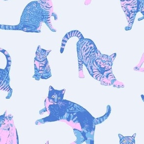 Caturday Cats in Blue and Pink