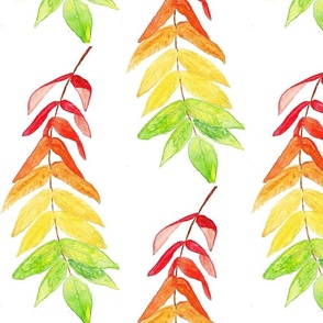 Colorful  Cascading Leaves