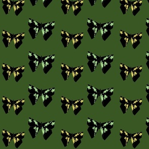 Golder's Green Butterfly