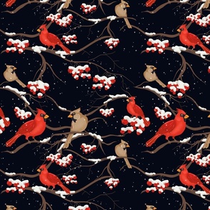 Cardinals at night