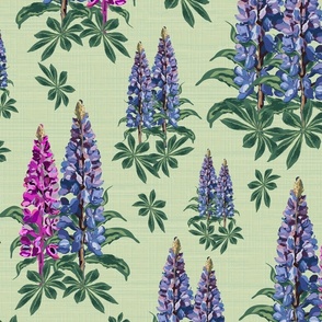 Botanic Garden Flowers Pretty Country Cottage Floral Illustration, Pretty Pink and Purple Lupine Lupin Blooms on Linen Texture