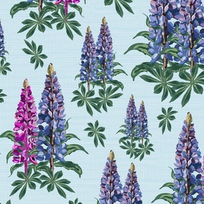 Sky Blue Floral Illustration, Cottage Garden Botanic Flowers, Romantic Pink and Purple Lupine Lupin Blooms on Linen Texture