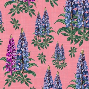 Vintage Botanical Flower Illustration, Pretty Floral Lupine Lupin Blooms in Pink and Purple on Linen Texture