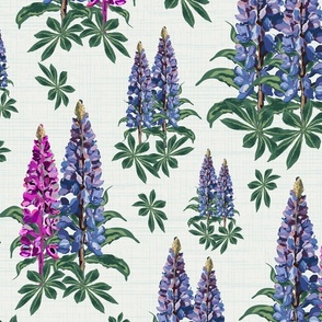 Botanic Garden Flowers Pretty Floral Illustration, Pretty Pink and Purple Lupine Lupin Blooms on Linen Texture