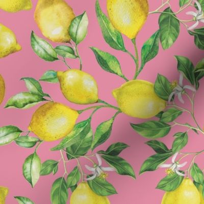 Lemons! on Pink