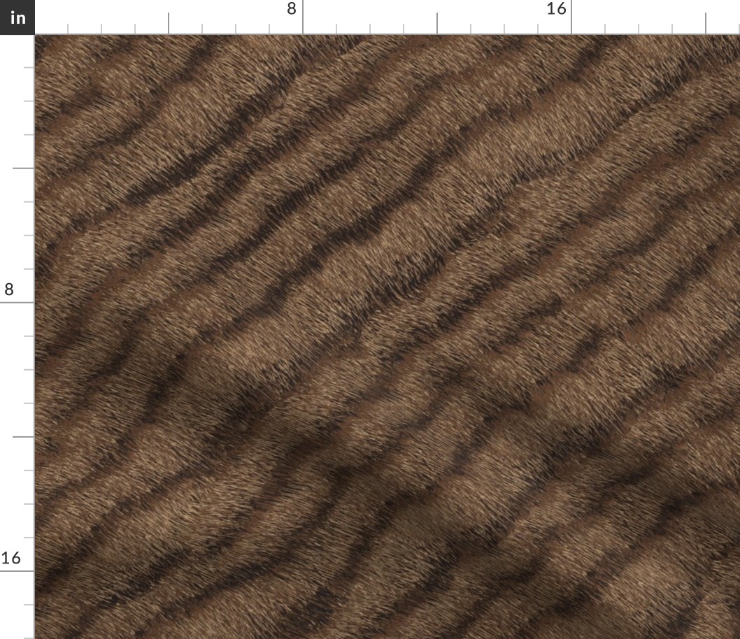 Tabby fur brown stripes 
