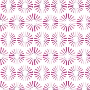 Small - Strobe Light Circles coordinates with Magenta Pink Monochromatic