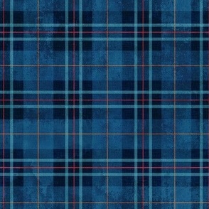 Navy Tartan to match whale design, monster truck with dinosaur and duck on bike designs